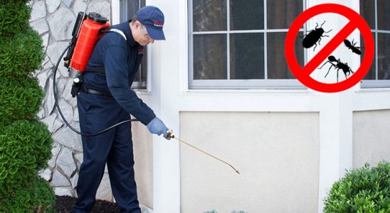 Keçiborlu Dezenfeksiyon böcek ilaçlama ve haşere kontrolü — ilaclama-tr.com